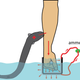 This diagram shows how electric shock was measured in eel to human interaction. Credit: Kenneth Catania